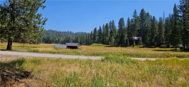 a swimming pool with trees in the background