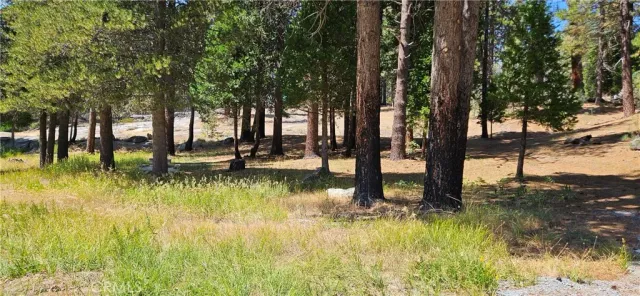 a view of swimming pool with a yard