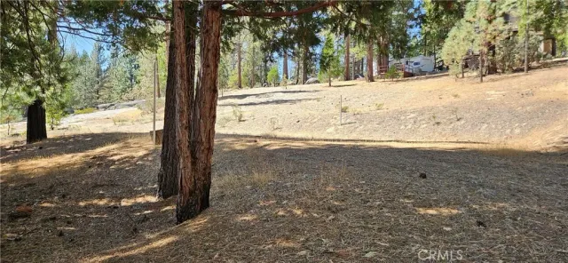 a view of side of snow with yard