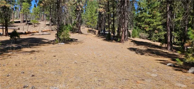 a view of a yard with snow on the road