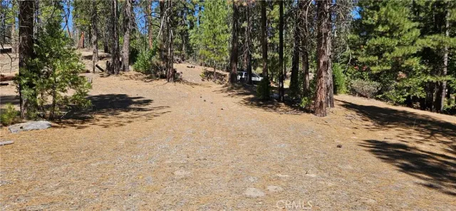 a view of a road with a trees