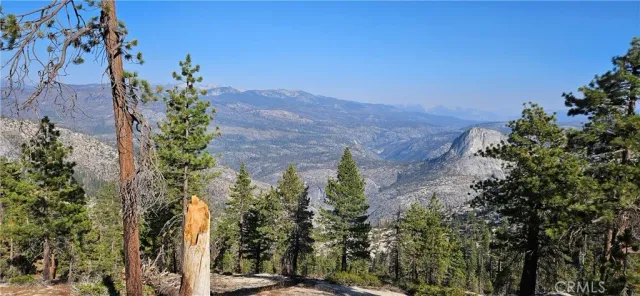 a view of a yard with plants and a building