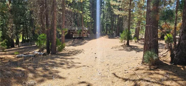 a view of a road with trees in the background