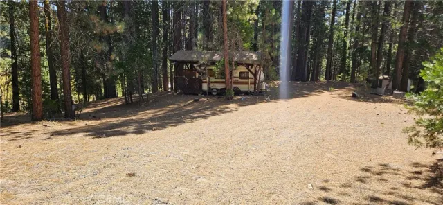a view of road and trees