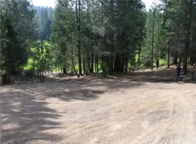a view of dirt yard with trees