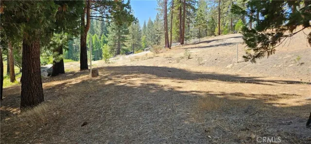 a view of side of snow with trees in the background