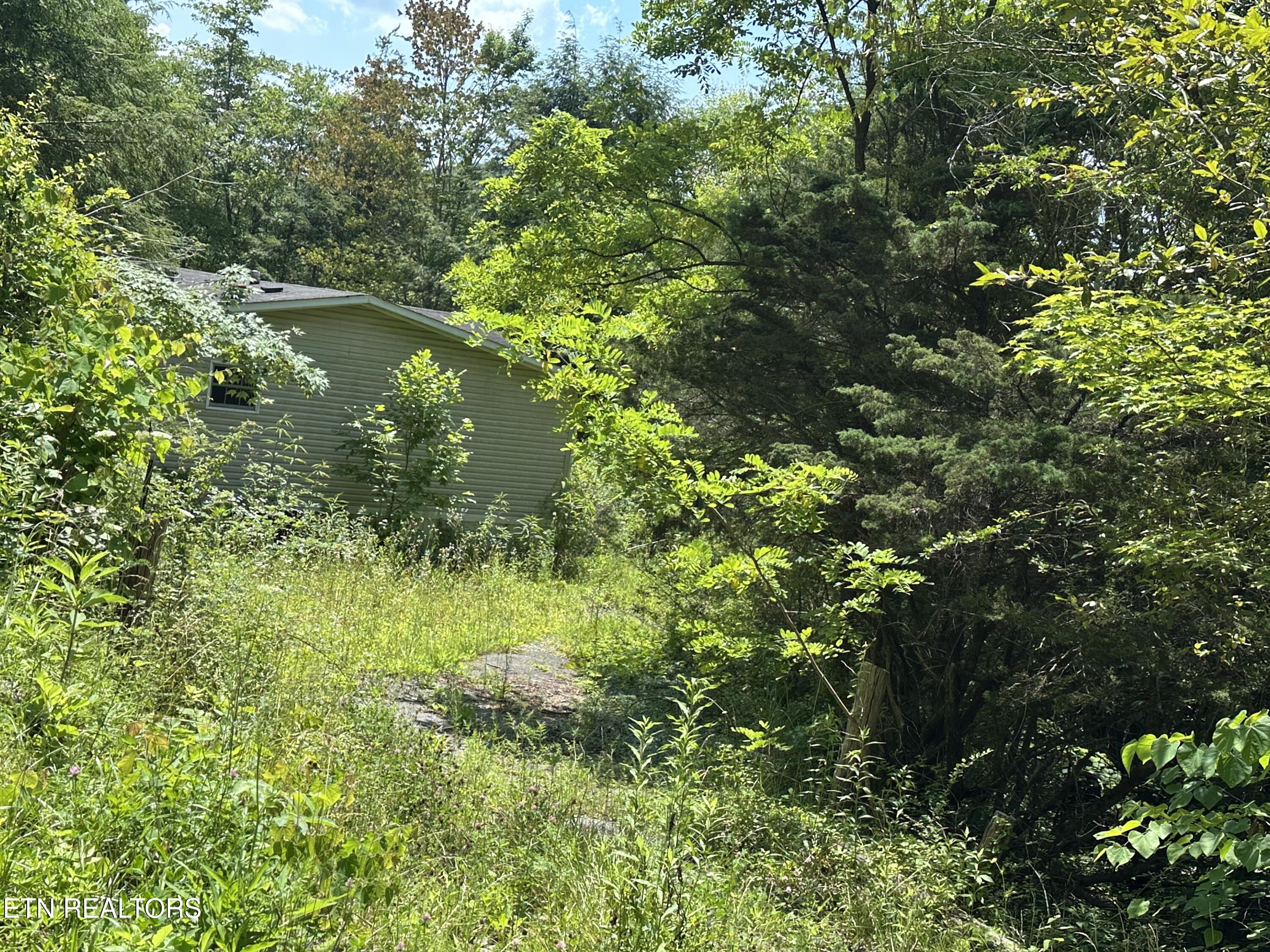 119 Hwy Calvin Key Calvin, KY 40813 - Photo 3 of 3 IMG_8901