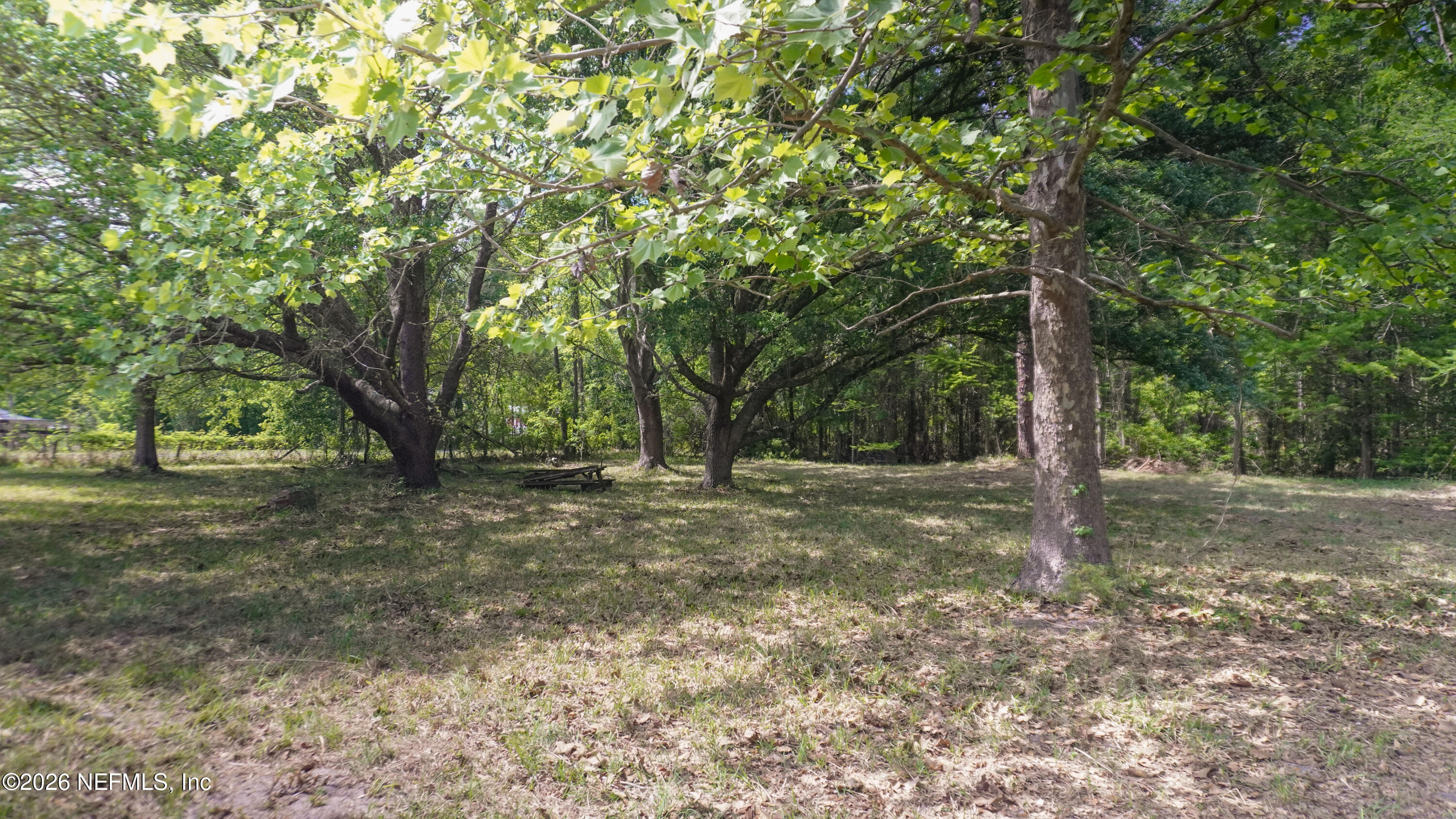 36507 Pratt Siding Road Callahan, FL 32011 - Photo 4 of 14 a view of a forest with trees