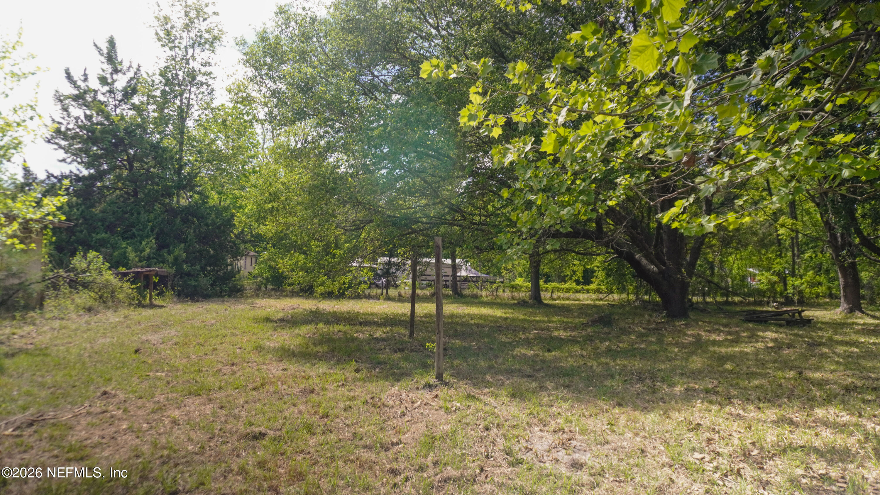 36507 Pratt Siding Road Callahan, FL 32011 - Photo 5 of 14 a view of a yard with a tree