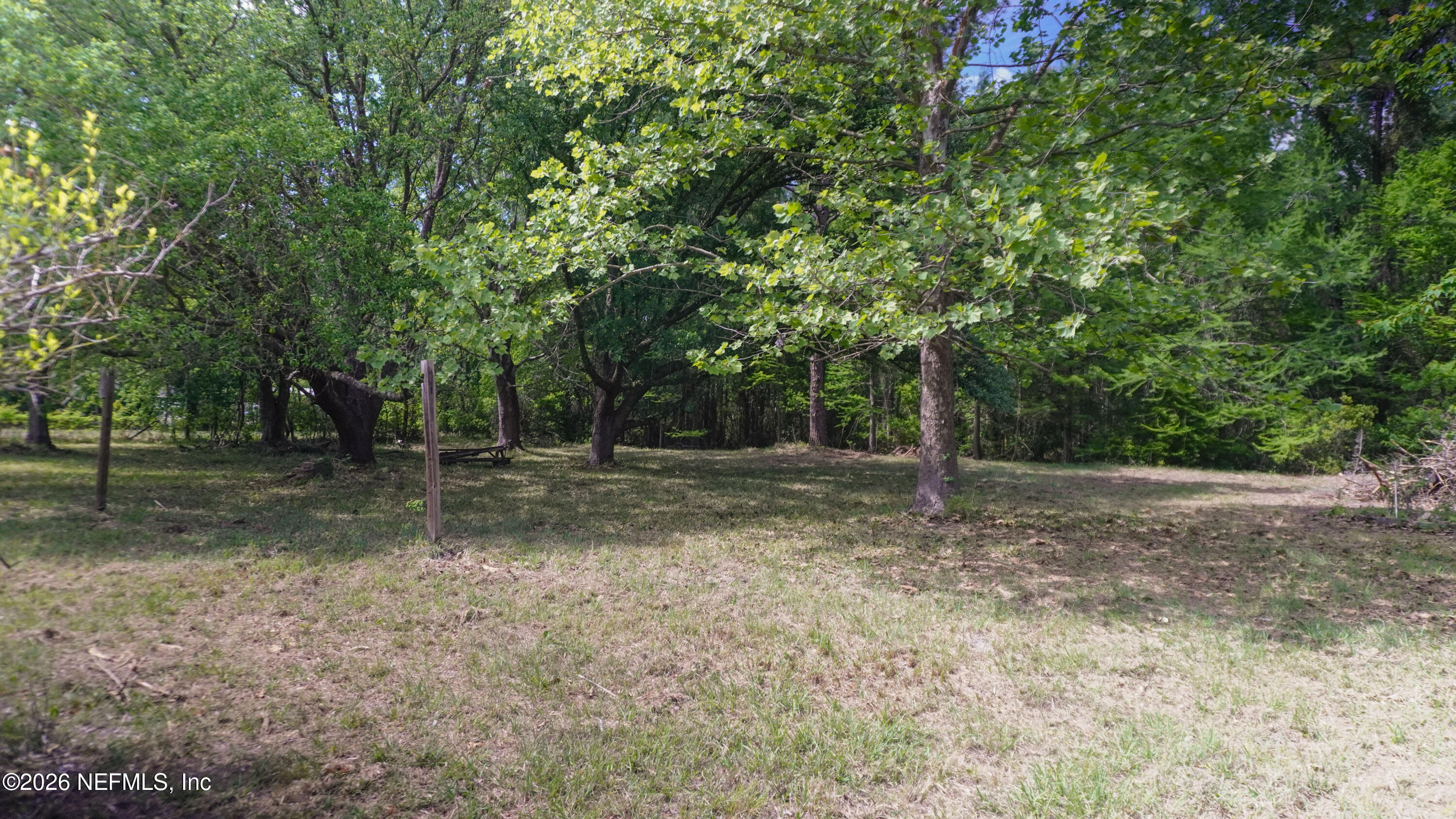 36507 Pratt Siding Road Callahan, FL 32011 - Photo 7 of 14 a view of outdoor space with trees