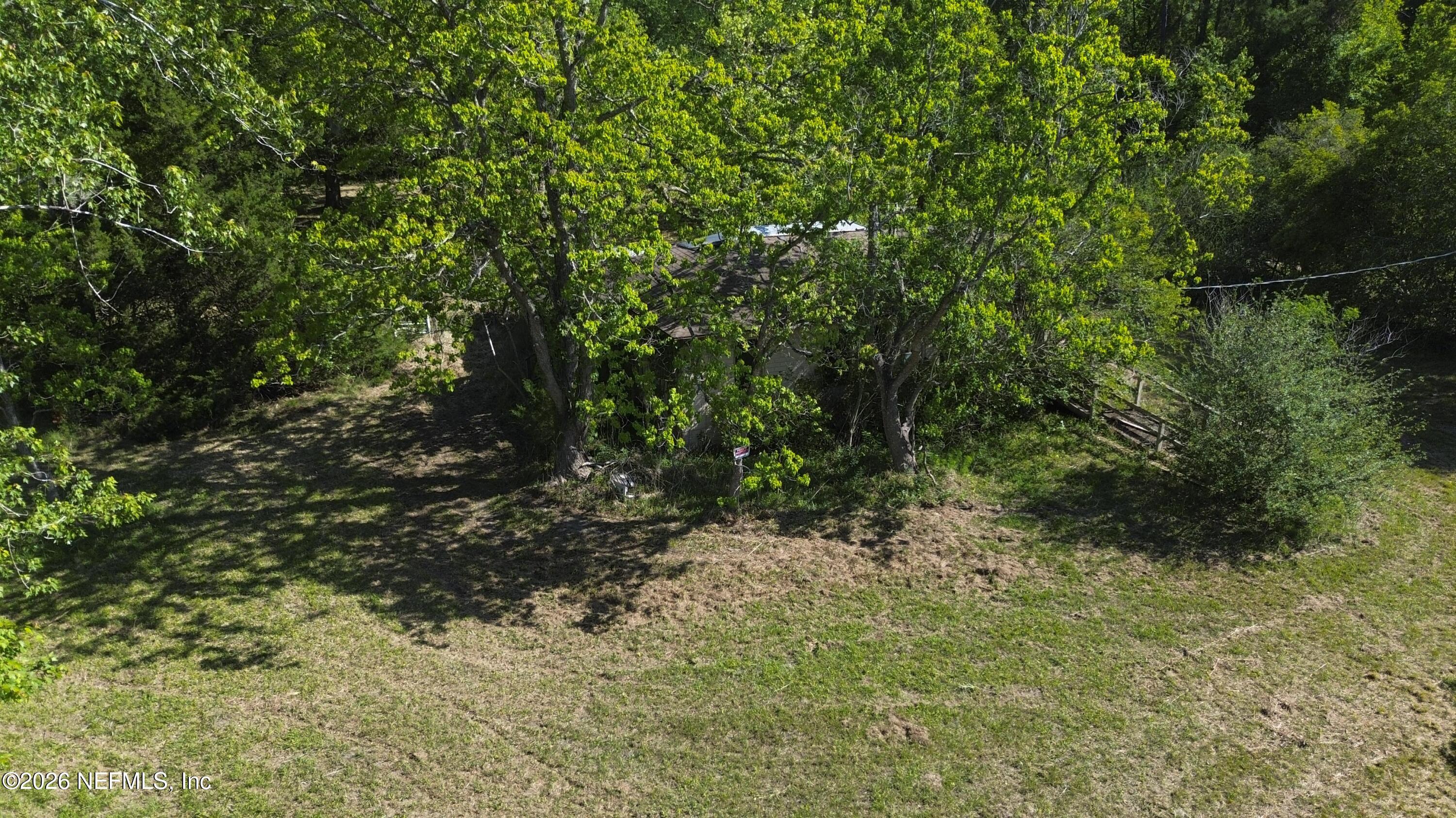 36507 Pratt Siding Road Callahan, FL 32011 - Photo 9 of 14 a view of a yard with plants and tree