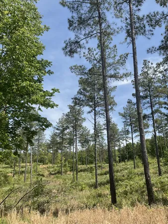 $46,000 | 0 Saddleback Drive, Dover, TN 37058