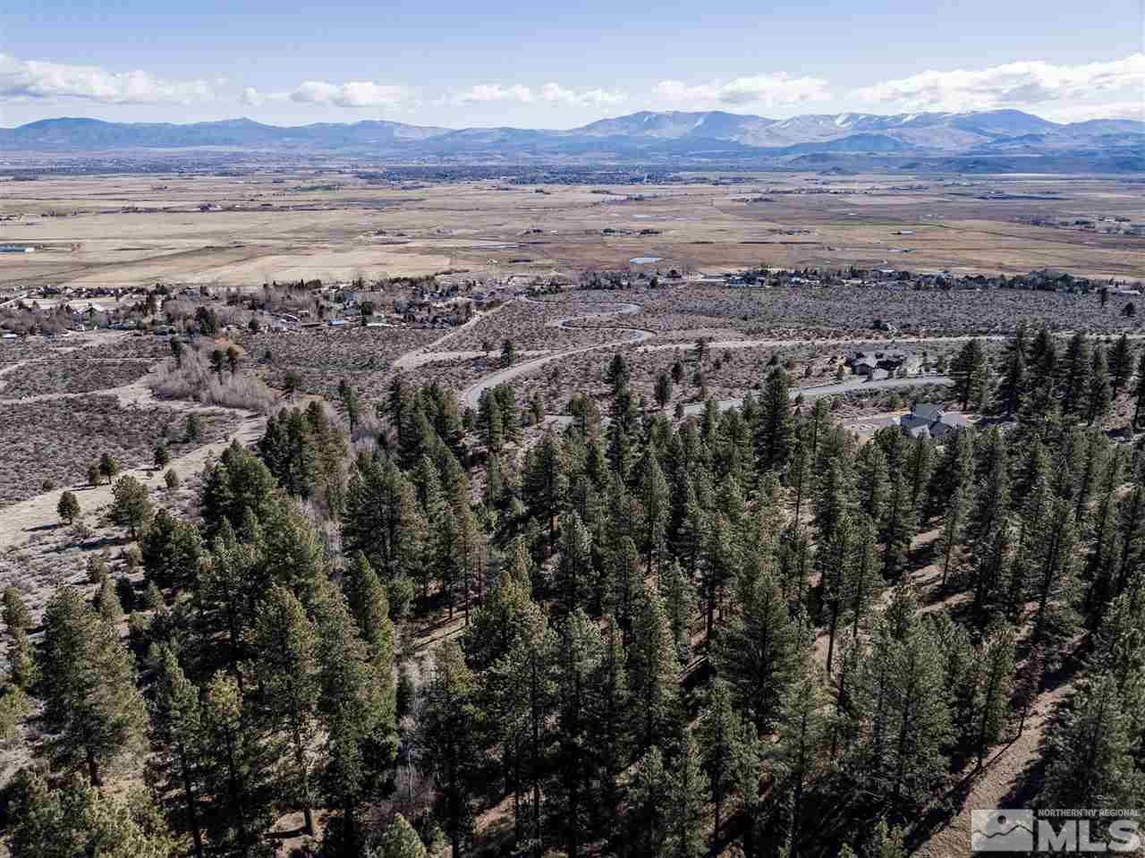 69 Five Creek Road, Unit 602 Gardnerville, NV 89460 - Photo 4 of 9 Photo 4