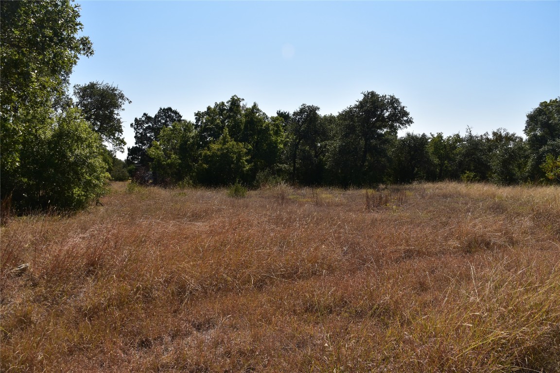 3317 Whitt Park Path Leander, TX 78641 - Photo 2 of 8 a view of wall with trees in background