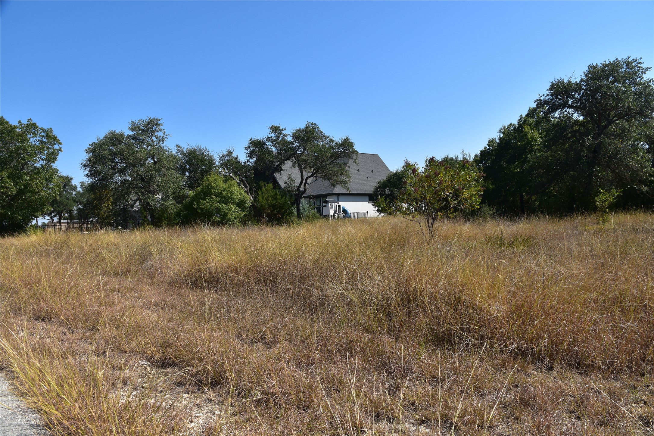 3317 Whitt Park Path Leander, TX 78641 - Photo 3 of 8