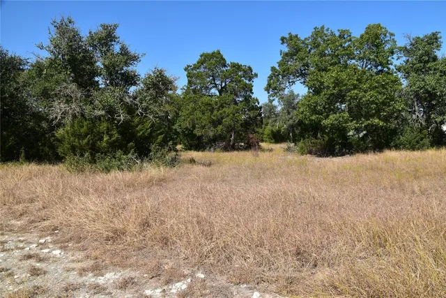 a view of a yard covered with trees