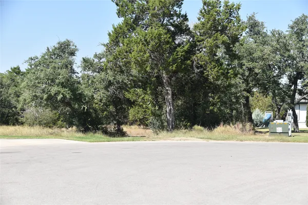 a view of a yard with a tree