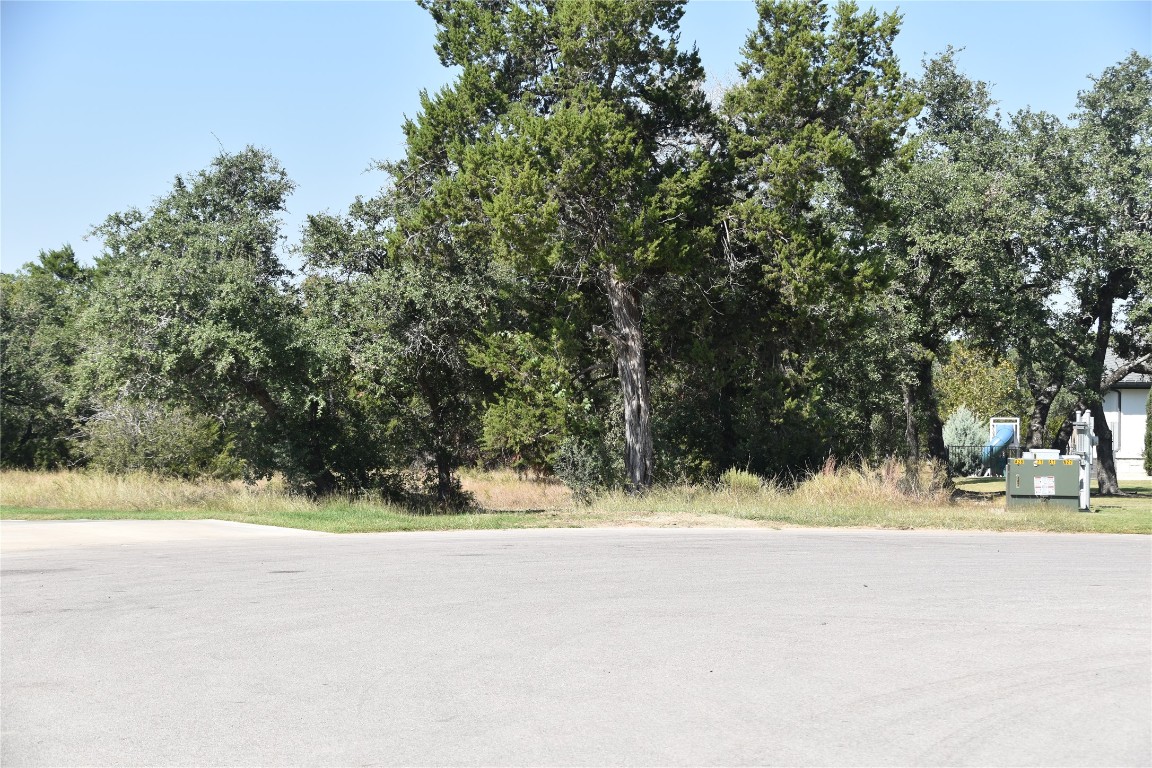 3317 Whitt Park Path Leander, TX 78641 - Photo 8 of 8 a view of a yard and a road