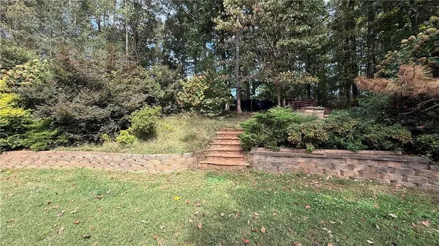 a view of a yard with plants and trees
