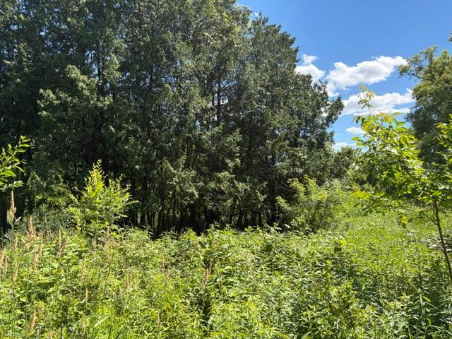 2835 Hadley Valley Road Northeast Rochester, MN 55906 - Photo 4 of 5