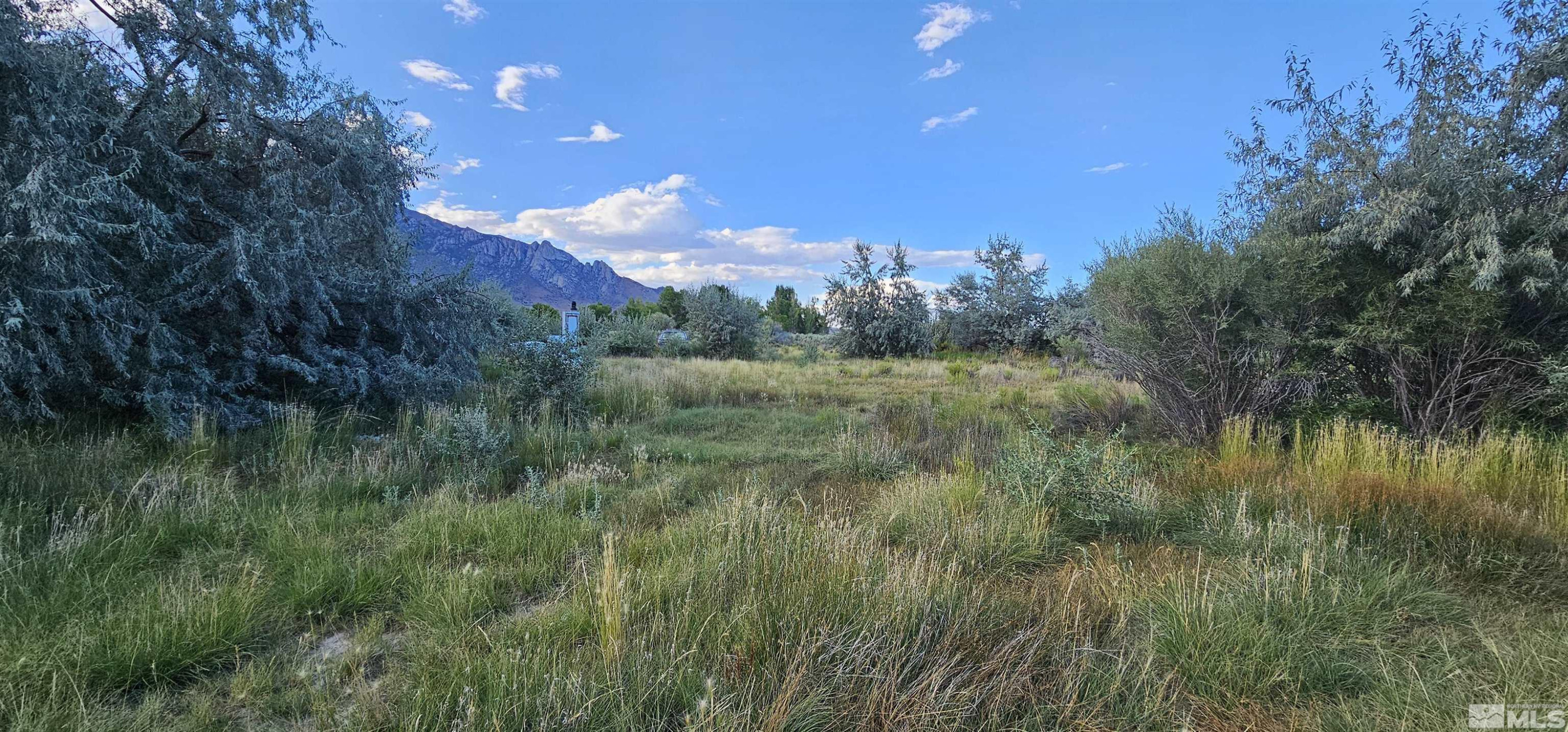 552 Gendron Road West Round Mountain, NV 89045 - Photo 11 of 37 Photo 11