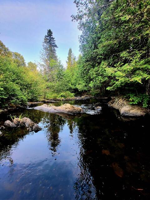 M2-l2 Back Ridge Road Houlton, ME 04730 - Photo 64 of 79 IMG_1503
