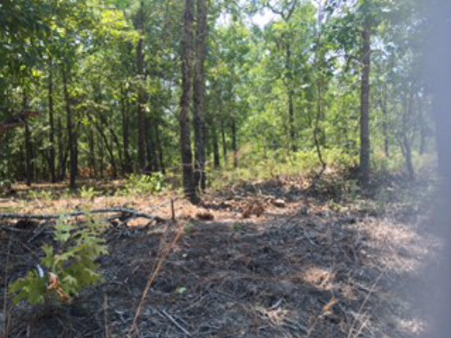 14 Bluffwood Road Wagener, SC 29164 - Photo 1 of 3 Main View