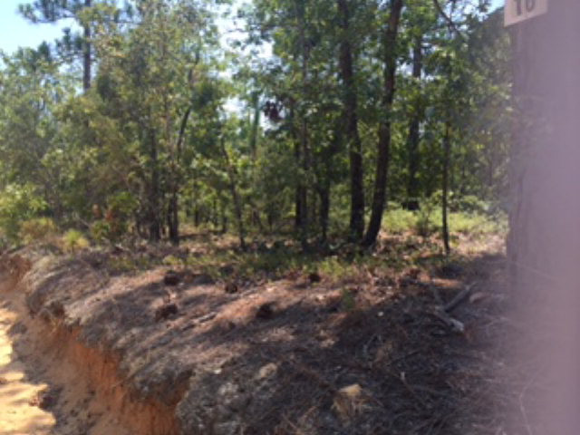 14 Bluffwood Road Wagener, SC 29164 - Photo 2 of 3 Lots 14-19