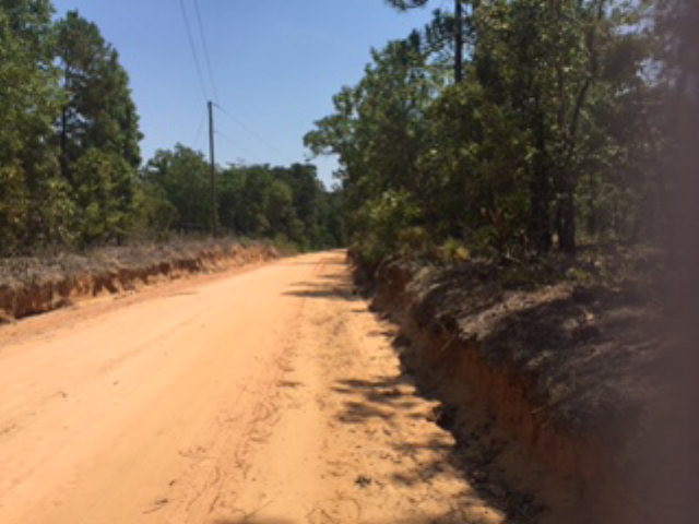14 Bluffwood Road Wagener, SC 29164 - Photo 3 of 3 Fronts Bluffwood Rd