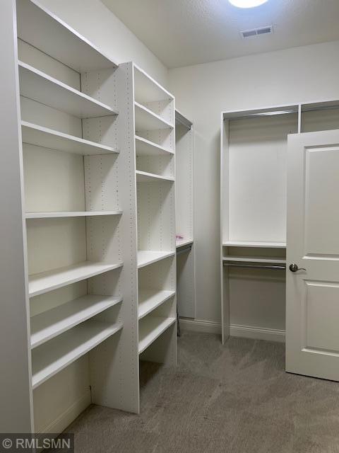 5014 Dale Ridge Road Woodbury, MN 55129 - Photo 19 of 26