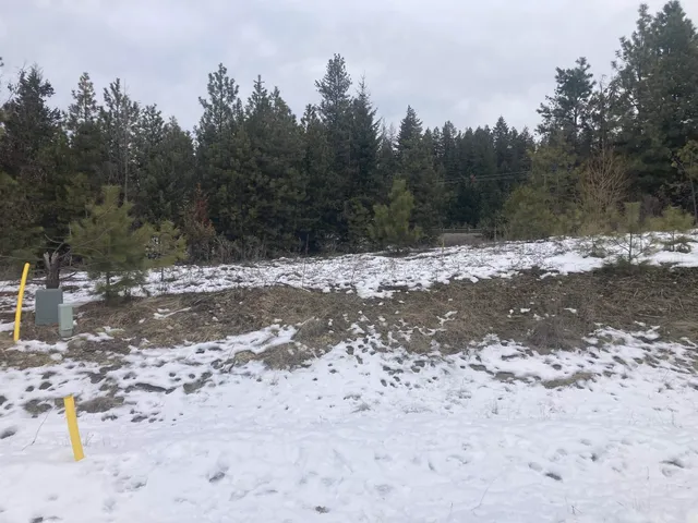 $65,000 | 39941 Loon Lake Court, Loon Lake, WA 99148