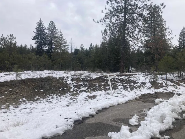 $65,000 | 39941 Loon Lake Court, Loon Lake, WA 99148