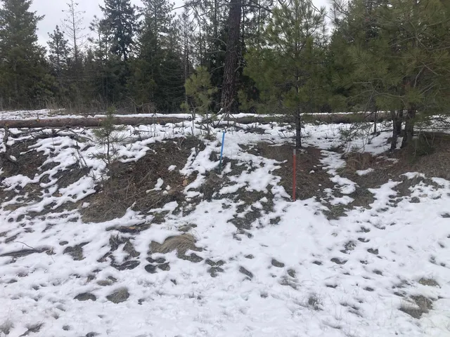 $65,000 | 39941 Loon Lake Court, Loon Lake, WA 99148