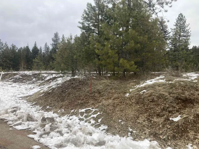 $65,000 | 39941 Loon Lake Court, Loon Lake, WA 99148