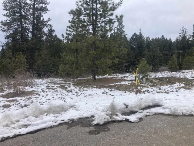 $65,000 | 39941 Loon Lake Court, Loon Lake, WA 99148