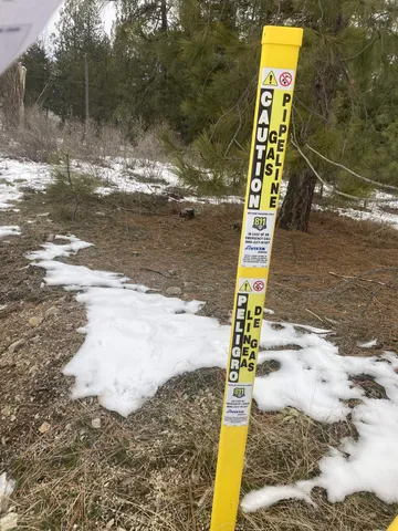 $65,000 | 39941 Loon Lake Court, Loon Lake, WA 99148