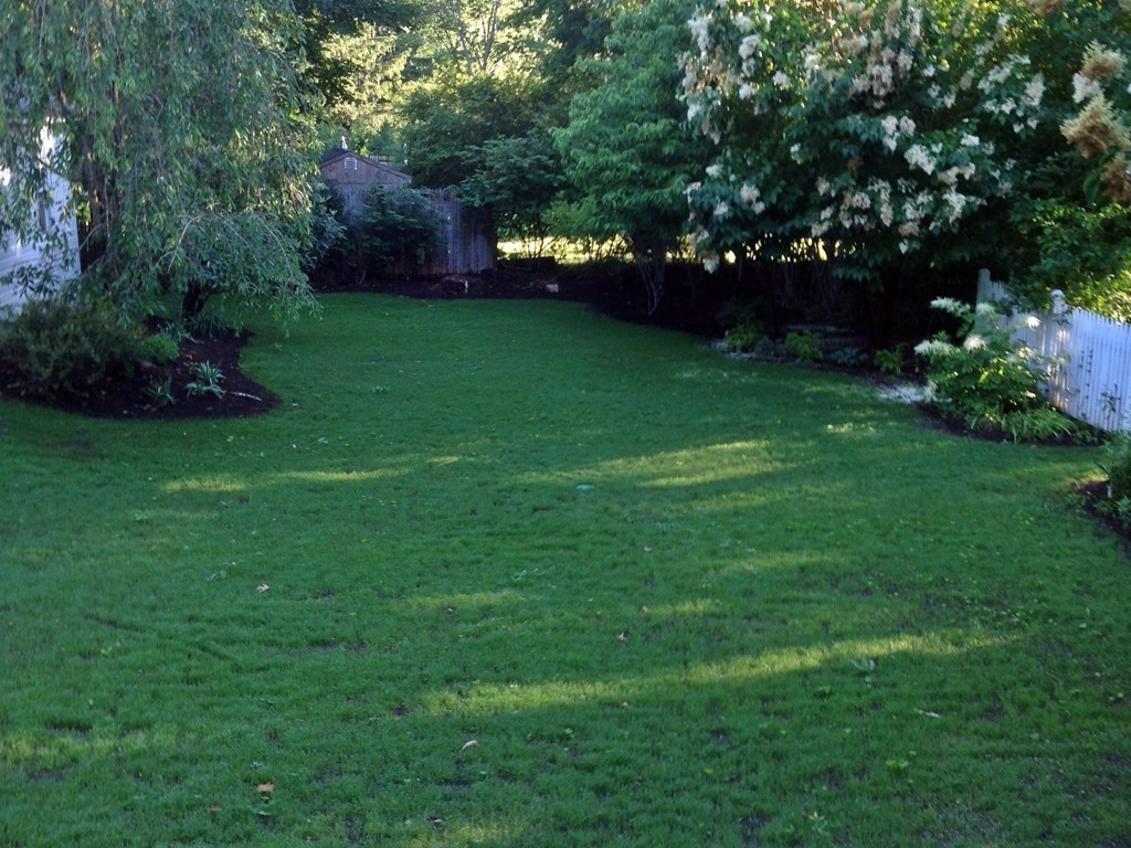 41 Forest Street Wellesley, MA 02481 - Photo 22 of 23 a view of a trees in a yard