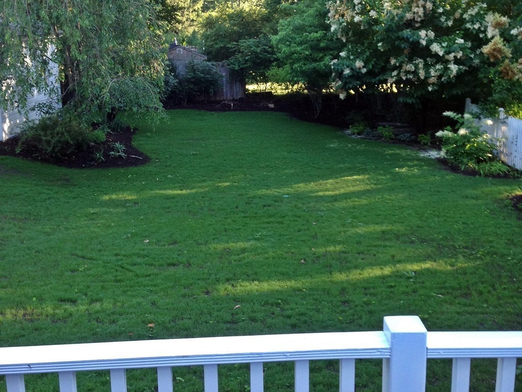 41 Forest Street Wellesley, MA 02481 - Photo 23 of 23 a view of yard with grass and a fence