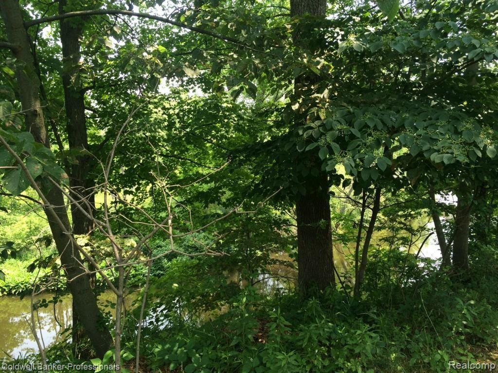 12426 Silver Lake Road Byron, MI 48418 - Photo 33 of 34 photo 41.jpg