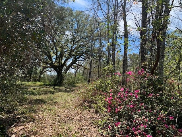 15278 Beasley Road Foley, AL 36535 - Photo 1 of 2