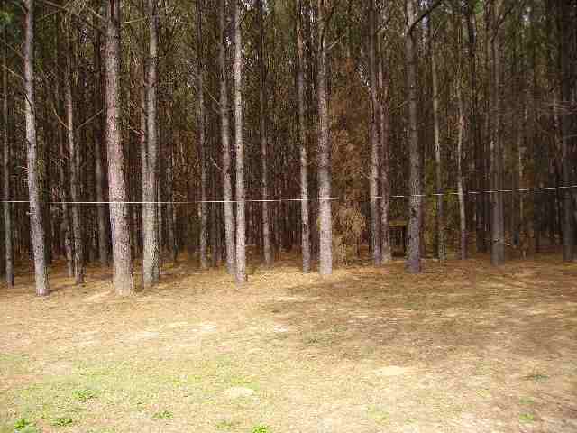 56 Asa Hall Road Iva, SC 29655 - Photo 5 of 10