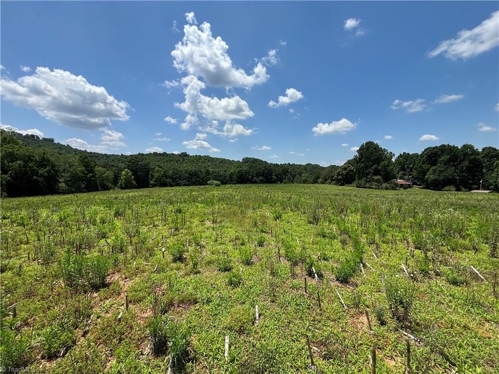 0 Brookhaven Road Statesville, NC 28625 - Photo 6 of 14