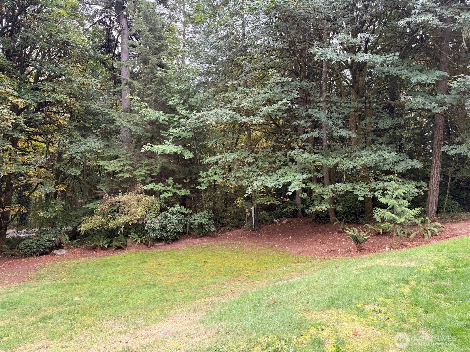 14444 Crescent Valley Road Southeast Olalla, WA 98359 - Photo 23 of 31 a view of outdoor space and yard