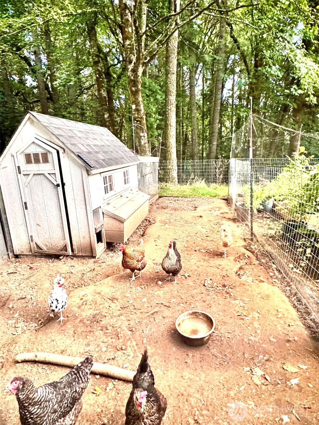 14444 Crescent Valley Road Southeast Olalla, WA 98359 - Photo 24 of 31 a view of a swimming pool with a patio