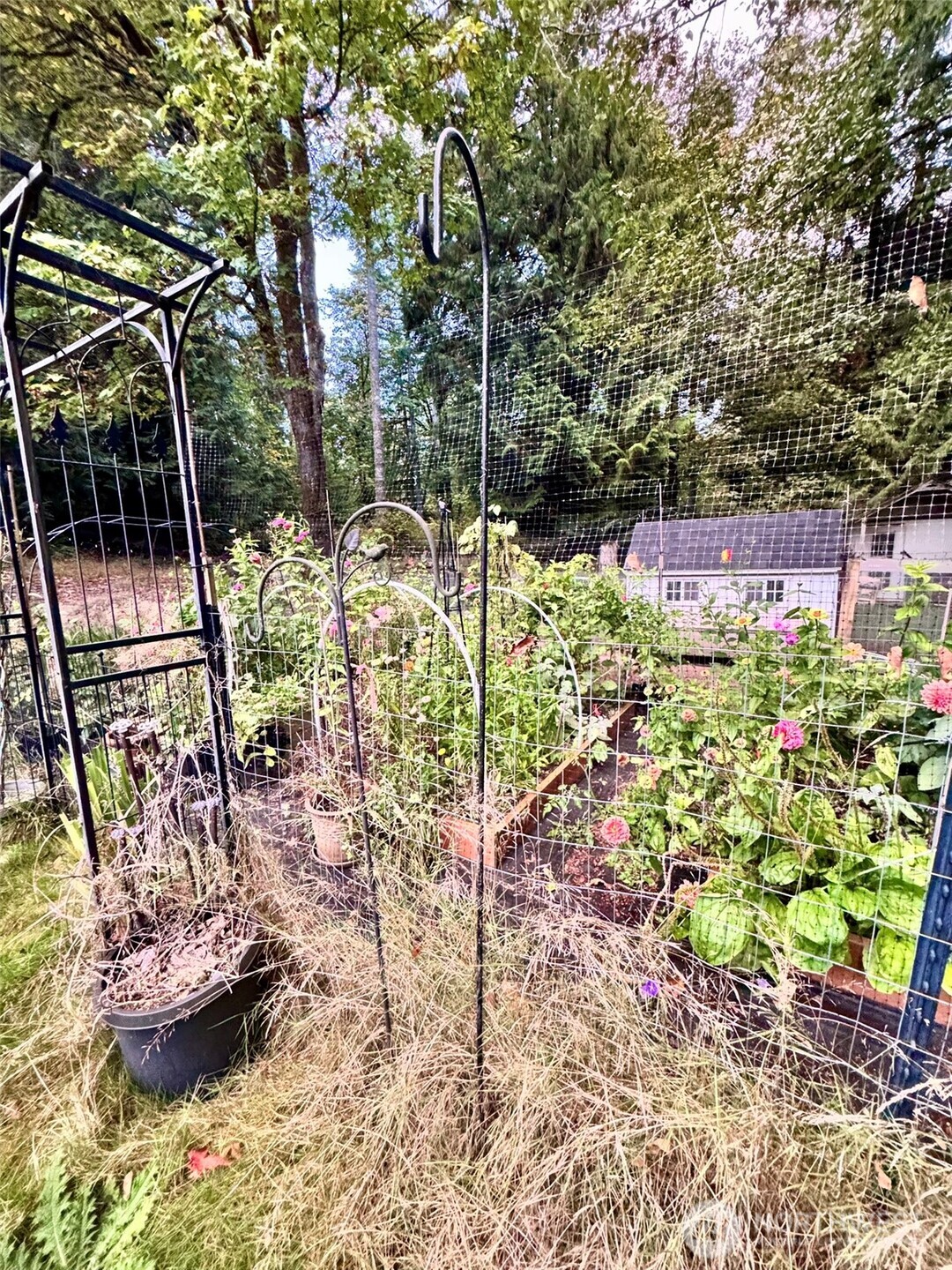 14444 Crescent Valley Road Southeast Olalla, WA 98359 - Photo 25 of 31 a view of a chairs and table in a backyard