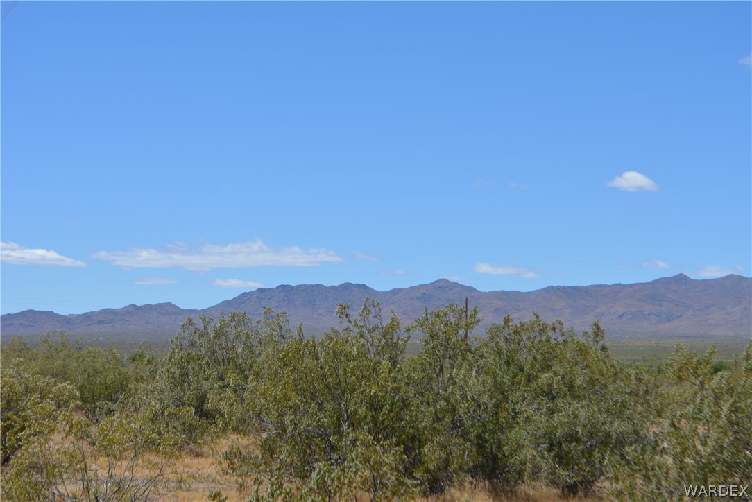 19984 South Wild Bill Road Yucca, AZ 86438 - Photo 12 of 36 Gallery Image 12