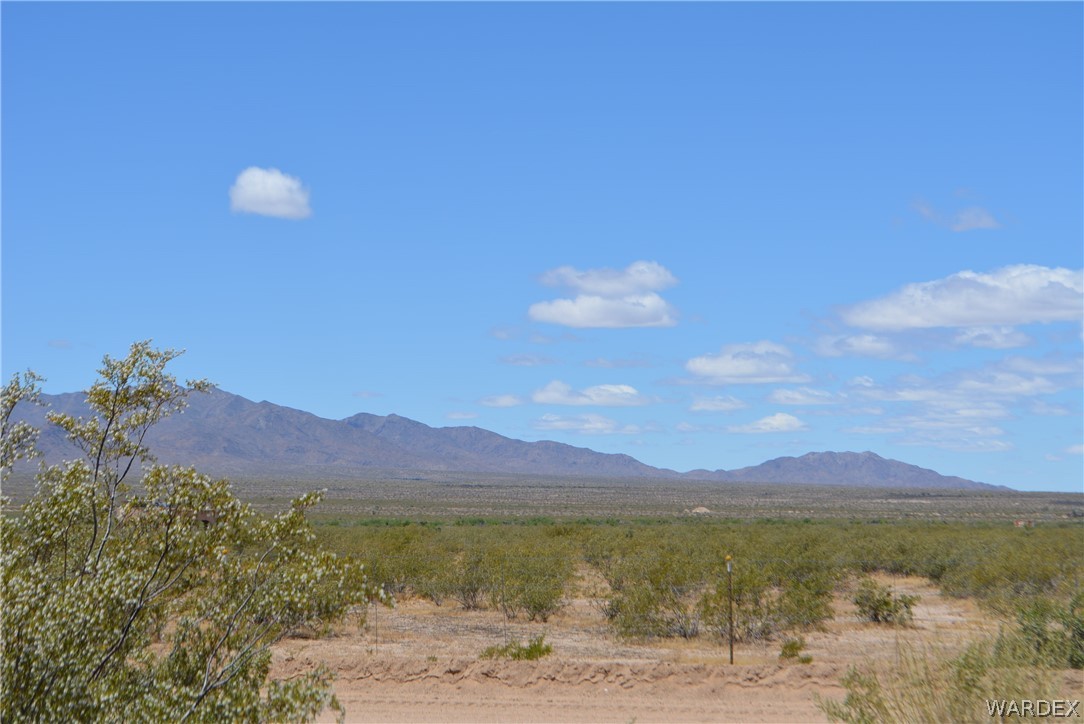 19984 South Wild Bill Road Yucca, AZ 86438 - Photo 14 of 36 Gallery Image 14