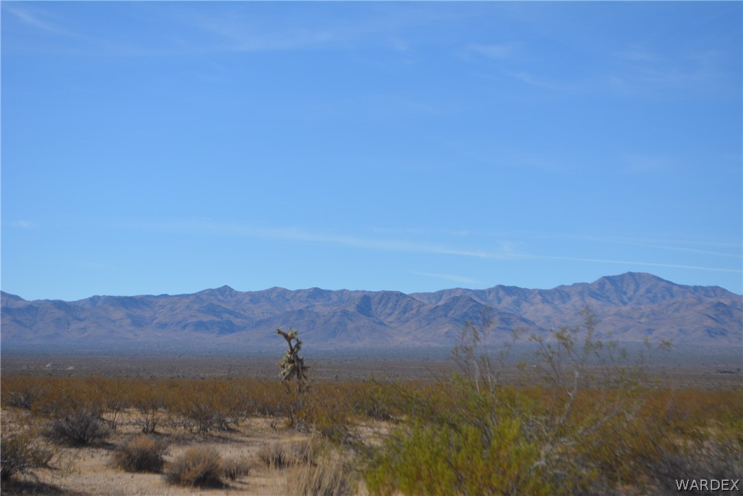 19984 South Wild Bill Road Yucca, AZ 86438 - Photo 32 of 36 Gallery Image 32