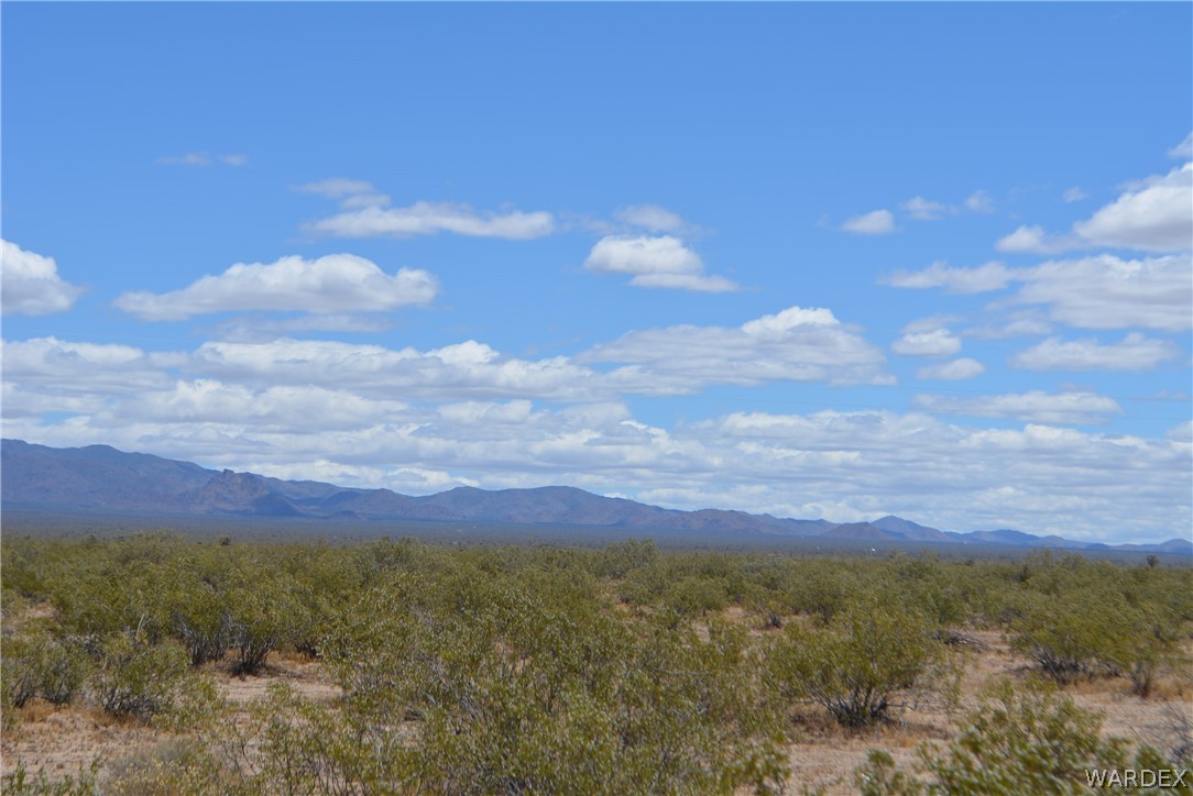 19984 South Wild Bill Road Yucca, AZ 86438 - Photo 6 of 36 Gallery Image 6