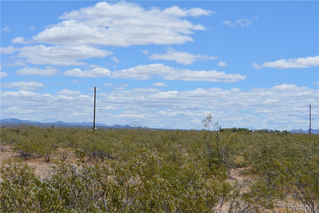 19984 South Wild Bill Road Yucca, AZ 86438 - Photo 7 of 36 Gallery Image 7